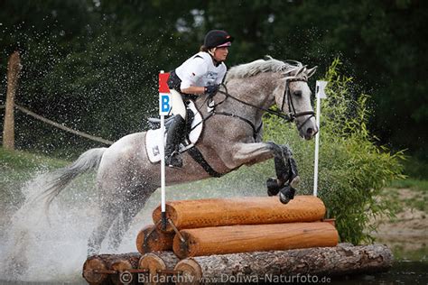 Nicht in dieser liste enthalten sind sagenhafte oder mythologische pferde, siehe dazu die liste fiktiver tiere (pferdeähnliche). Alina Meister Cross country Fotos auf Hill Dream AA ...