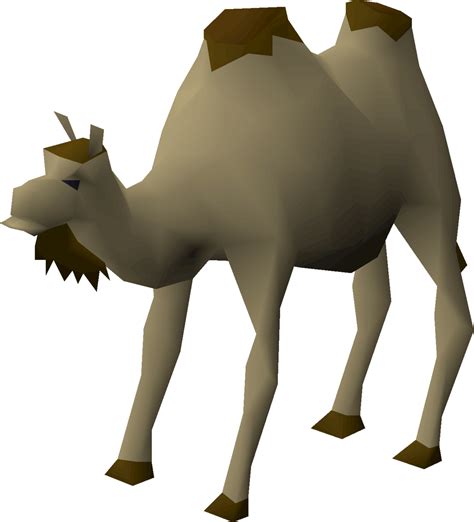 Pick up that can meme. Al the Camel - OSRS Wiki