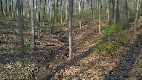 Working on these accomplishes multiple objectives including erosion control, access across property and a linear food plot. Sex In The Woods - YouTube