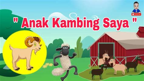 Menjadi seorang anak malaysia bukanlah setakat nama tetapi ia adalah gelaran yang akan diingati sepanjang hidup. Lagu Anak Anak | Anak Kambing Saya - YouTube