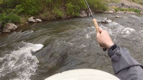 This was captured in the sotenbori river. Teton Tenkara: Blacksmith Fork River, Utah 5-3-2012