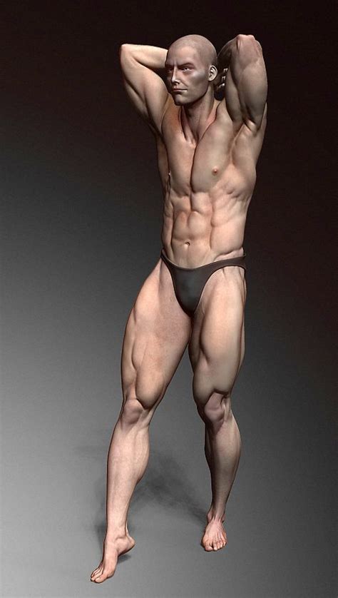 All right reserved about each tutorial by the creator member. 69 best images about Male Anatomy Reference on Pinterest