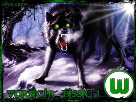Vfl wolfsburg thermobecher isolierbecher matt. vfl wolf - Kostenlose Gästebuchbilder
