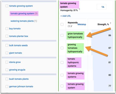 Keyword clustering is a new term floating around in the world of seo (search engine optimization) & web design. The Ultimate Keyword Research FAQ + a Step-by-Step Tutorial