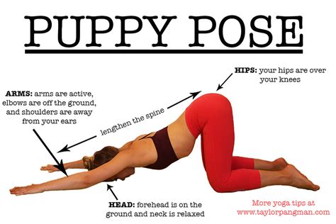 A yoga class with puppies! POSTURE BREAKDOWN: Extended Puppy Pose (Uttana Shishosana ...