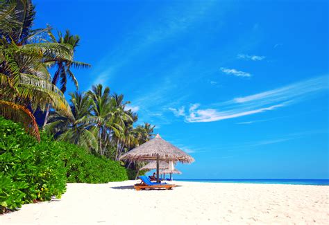 Voir plus d'idées sur le thème fond d'écran téléphone, fond d'écran coloré c'est le printemps & le retour des fonds d'écran pour habiller vos téléphones. Fond d écran sable blanc plage palmier cooucher de soleil ...