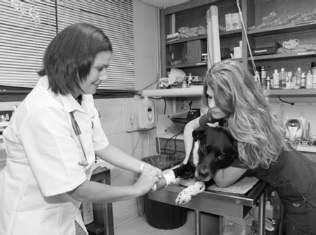 Is there an urgent care clinic in danville ky? Mt. Hermon Animal Clinic - Care.com Danville, VA