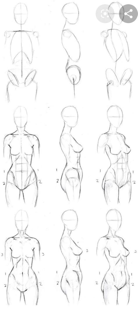 How to draw anime anatomy. Female torso instructional template Anatomy reference ...