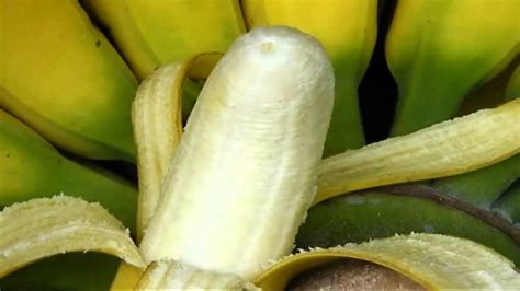 Lady finger bananas (also known as sugar bananas, fig bananas, or date bananas) are diploid cultivars of musa acuminata. Lady finger banana - กล้วยเล็บมือนาง - YouTube