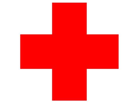 Český červený kříž jsme ve veřejných zakázkach jako dodavatel nenašli. Karlovarský deník | Červený kříž | fotogalerie