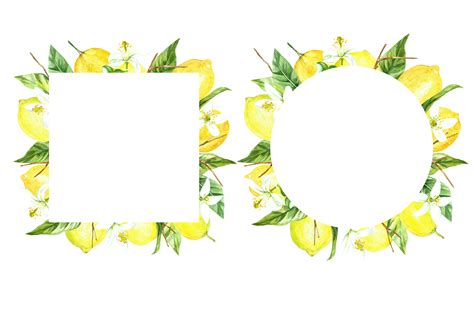 Fresh lemons with cut and green leaves. watercolor lemon set (52254) | Illustrations | Design Bundles