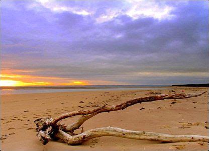 Read reviews of state and national parks, or book unique beach camping experiences on over 300,000 campgrounds near oceans, lakes. Tentsmuir Beach, Scotland. I've been to Bermuda, Gambia ...