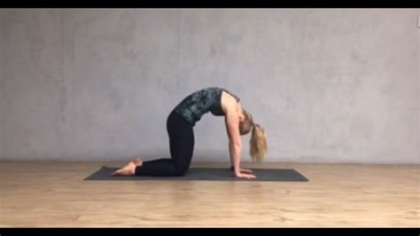 But a lot of patients will come into me or a lot of people will have restriction actually in their upper back or their thoracic spine and it has to do with. Cat cow pose - YouTube