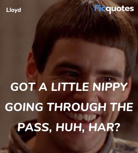 When you just need a good. Lloyd Quotes - Dumb And Dumber