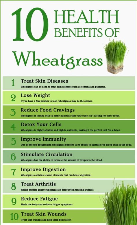 Can cats eat strawberries? is a common question for pet parents who notice their cat's curiosity of the delectable fruit. Pin by spectia group on wheat grass benefits | Wheat grass ...