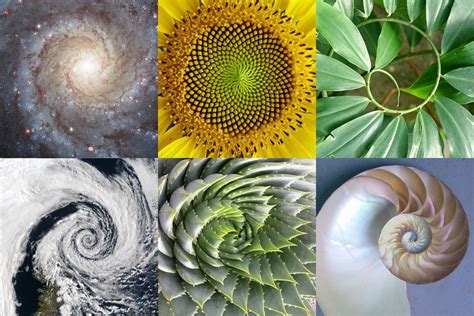 The golden ratio is always going to be a little off. Golden Ratio : What It Is And Why Should You Use It In ...