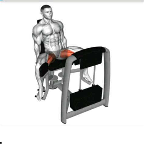 Maybe you would like to learn more about one of these? Hip Adductor Machine - Exercise How-to - Workout Trainer ...