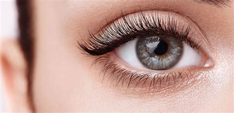 We did not find results for: Ini Dia, 5 Eyelash Extension untuk Mata Belo - KlubWanita.com