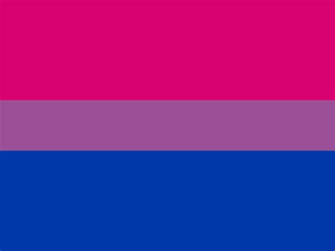 Descarga esta foto premium de bandera lgbt arcoiris. Bandera Bisexual Grande | Compra online en Tienda del ...