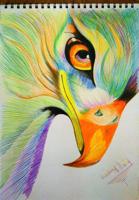 Drawings, Eagle pencil colour art, Page 5248, Art by Independent Artists