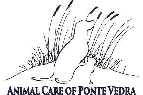 See reviews, photos, directions, phone numbers and more for the best animal shelters in ponte vedra, fl. Veterinarian in Ponte Vedra Beach FL | Animal Care of ...