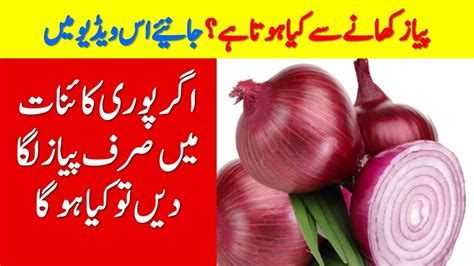 Selecting the correct version will make the ajwain khane ke 130 fayde in hindi app work better, faster, use less battery power. Onion Benefits in Urdu | Payaz Khane ke Hairat Angaiz ...