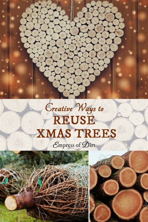 Adorable during the day and dazzling at night, this cheeky trio is sure to put a smile on your face. 25+ Creative Ways to Reuse Xmas Trees - Empress of Dirt