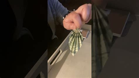 Propagating a money tree plant from a stem through water can take time and dedication, but allows you to control every stage of the growth of your plant. Money leaf folding - YouTube