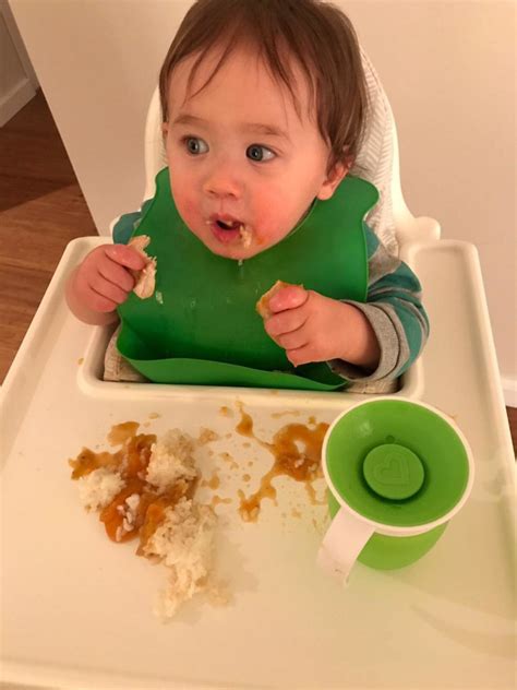 Baby led weaning (blw) is an approach to baby development that says you should skip giving babies pureed foods and jarred baby food fed to them by a spoon. Apricot Chicken (3 Ingredients) - Baby Led Weaning Ideas