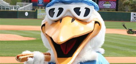 The new orleans pelicans mascot was one of the scariest mascots i've ever seen. Attend Pelicans Baseball and be entertained by their ...