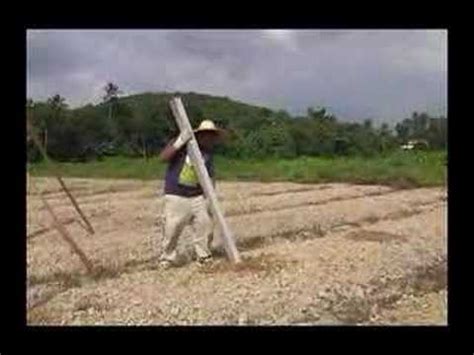 Tidak kira apa bahan kebun membuat pagar, dia perlu memasang tiang untuk sokongan. Penanaman Tiang - YouTube