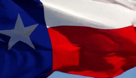 Download 20 texas state flag free vectors. 600 Camp | Commercial Litigation in the U.S. Court of Appeals for the Fifth Circuit