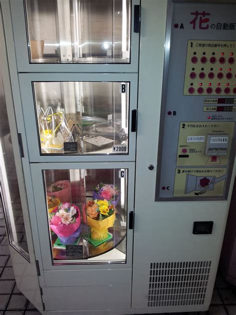 Der blumenautomat ist ganz einfach zu bedienen: Blumenautomat | Pottwalblog