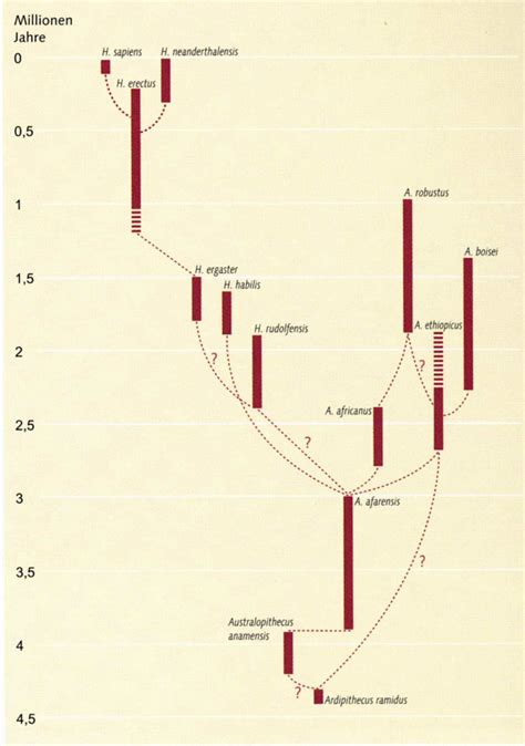 Die nachfolgende tabelle zeigt die grenzsteine der entwicklung, die ein kind am ende des 18. Schlachttiere - nur Ware? (Seite 68) - Allmystery