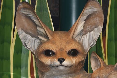 Our mission i love fox because it's not just a project aimed to be of benefit to humans, but also a project that considers wildlife as well Fox Finance Crypto News / fennec_ears | Fennec Fox ...