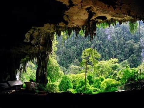 Sebagian besar wisatawan yang mengunjungi negara bagian kedah akhirnya 272 langkah membawamu ke gua besar di bagian atas di mana kuil utama berada. SOSIOLINGUISTIK MELAYU: GUA NIAH, SARAWAK