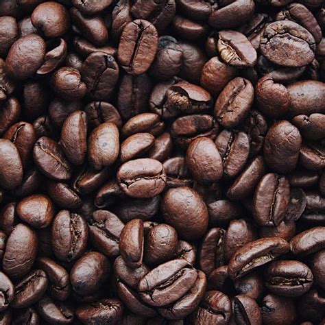 The original donut shop decaf. 10 Best Decaf Coffee Beans Reviewed in 2021 | TheGearHunt