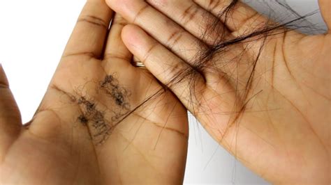 Can split ends stop hair growth? How To Stop Hair Breakage and Hair Damage With Black ...