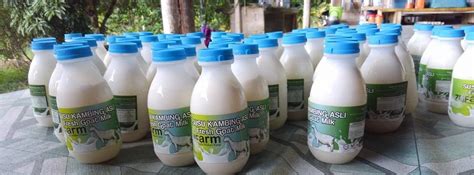 Susu kambing etawa adalah pilihan yg tepat dan menyehatkan terutama diminum masih segar. Khasiat Susu Kambing Segar Ladang ZMFarm: Kaya Nutrisi dan ...