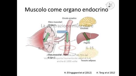 Scarica il libretto in formato pdf. Alimentazione & esercizio nel diabetico - YouTube