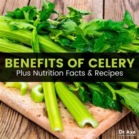 Maybe you would like to learn more about one of these? 10 Benefits of Celery + Nutrition Facts and Recipes - Dr. Axe