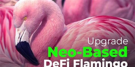 Neo to gas is a calculator that will give you a rough estimate of how much gas you can expect to earn from staking neo. Neo Based DeFi Flamingo (FLM) To Undergo First Major ...