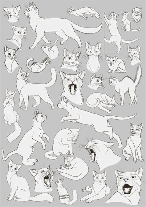 Free step by step easy drawing lessons, you can learn from our online video tutorials and draw your favorite join our community and create your own a cat drawing lessons. cats moving | Croquis de chat