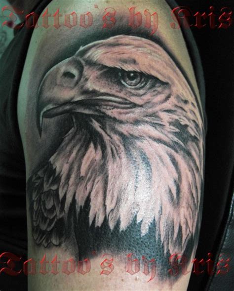 Sammlung von swenja juventy • zuletzt aktualisiert: tattoocompany: Adlerkopf | Tattoos von Tattoo-Bewertung.de