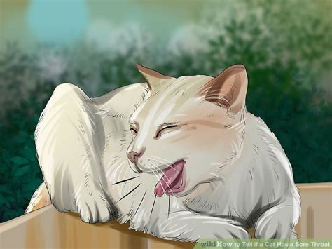 If bone cancer has set, your poor fur baby is suffering and is trying to tell you something is wrong. How to Tell if a Cat Has a Sore Throat: 9 Steps (with ...