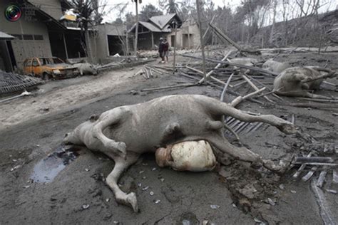 Nach einem vulkanausbruch auf der zu neuseeland gehörenden insel white island schwindet die hoffnung auf überlebende. Indonesia (LEDC) - Insaila Corporations