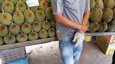 Durian merah tidak hanya dicintai warga lokal saja, namun juga populer di luar negeri seperti malaysia dan singapura. Paling Mantap Durian Tembaga dan durian udang merah - YouTube