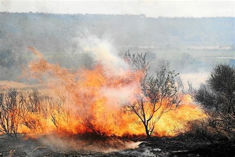 Incendie dans l’Aude : 850 hectares parcourus et des coupures de ...