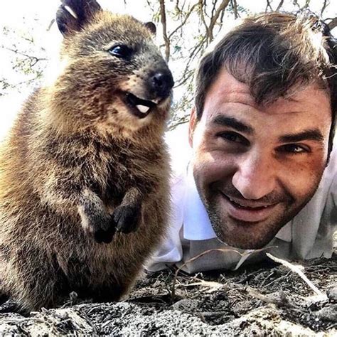 Chris hemsworth heads for the helicopter.source:the west australian. Chris Hemsworth e il selfie con il quokka: non è l'unica ...