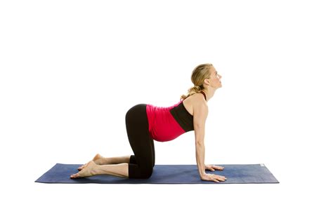 Theres cat pose (marjaryasana) and cow pose (bitilasana). The Benefits of Doing Yoga While Pregnant - Kristin McGee